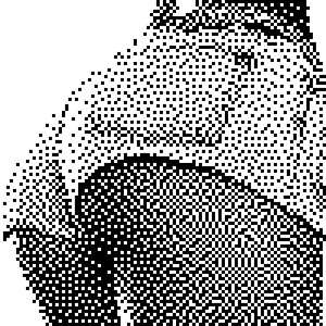 jane butt