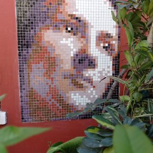 la niña del gato pedro lira stretart mosaic pixelart 04
