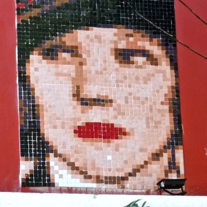 retrato de lily camilo mori stretart mosaic pixelart 03