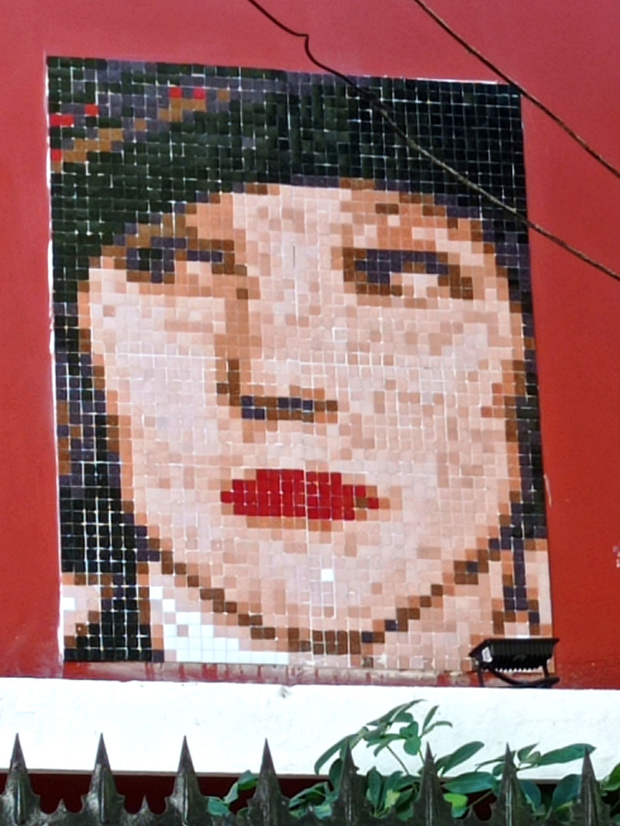 retrato de lily camilo mori stretart mosaic pixelart 03